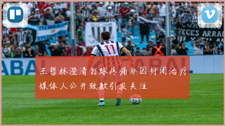 王哲林澄清打球疼痛非因封闭治疗媒体人公开致歉引发关注