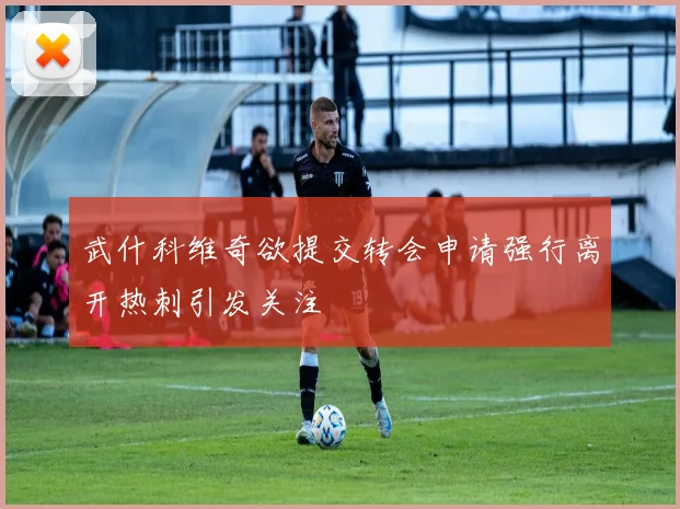 武什科维奇欲提交转会申请强行离开热刺引发关注