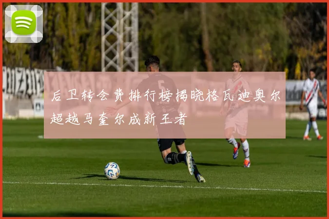 后卫转会费排行榜揭晓格瓦迪奥尔超越马奎尔成新王者